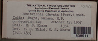 Image Associated With the Occurence